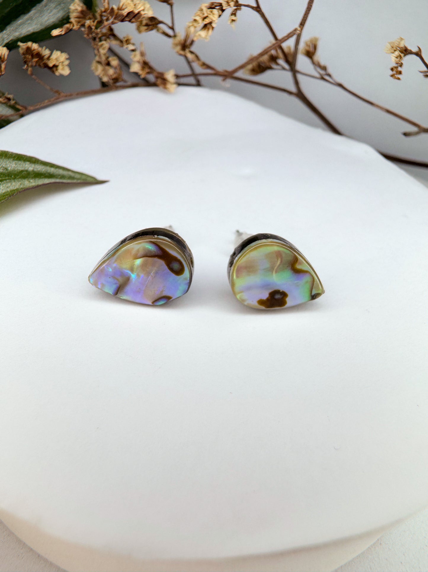 Brinco Universo - Abalone