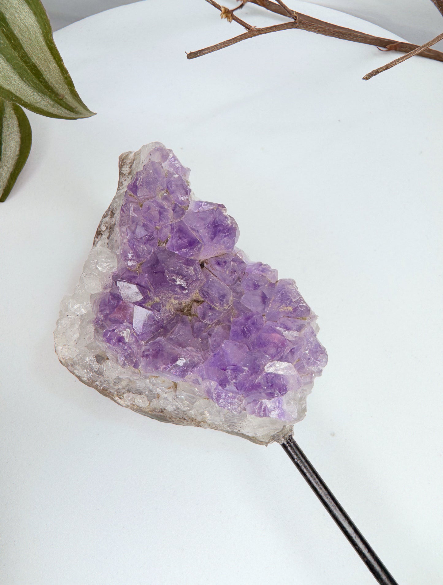 Base - Drusa Ametista