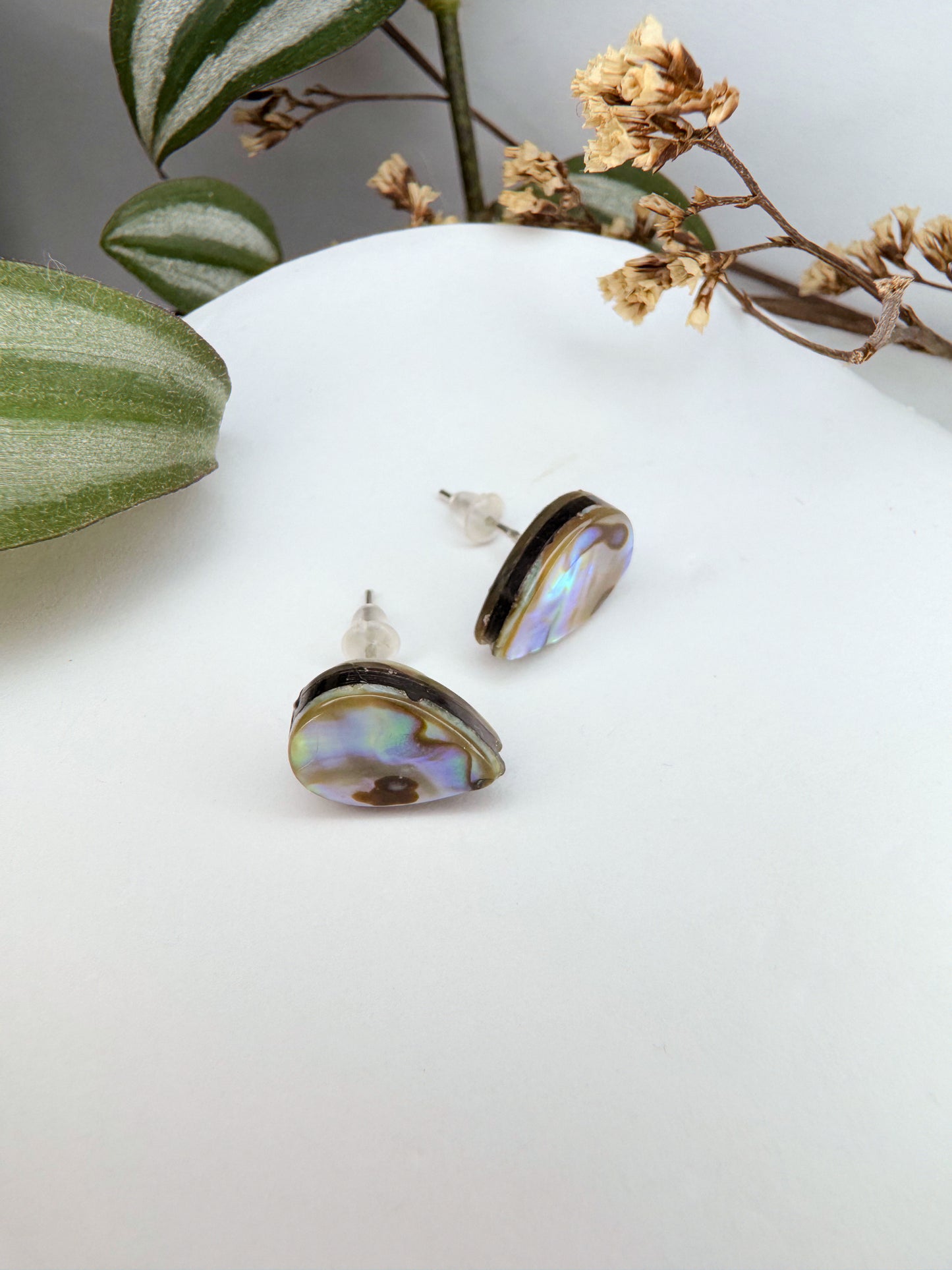 Brinco Universo - Abalone