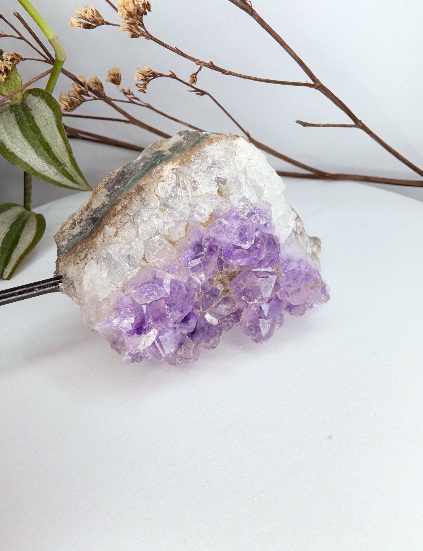 Base - Drusa Ametista