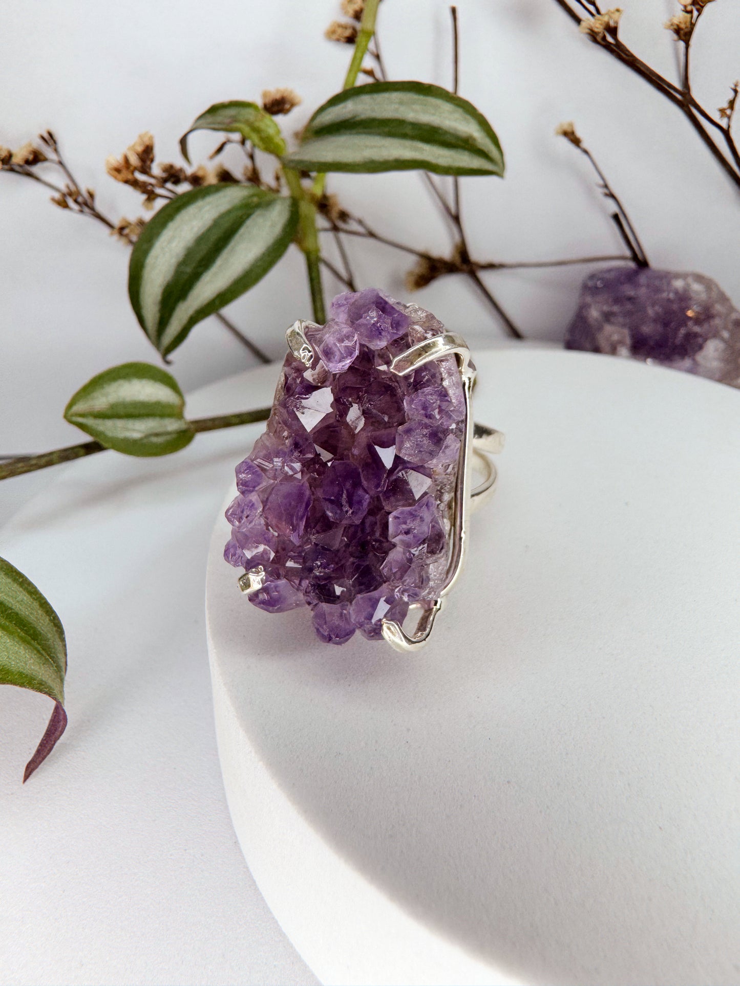 Anel asteroide - Drusa de ametista