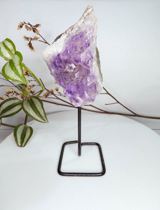 Base - Drusa Ametista
