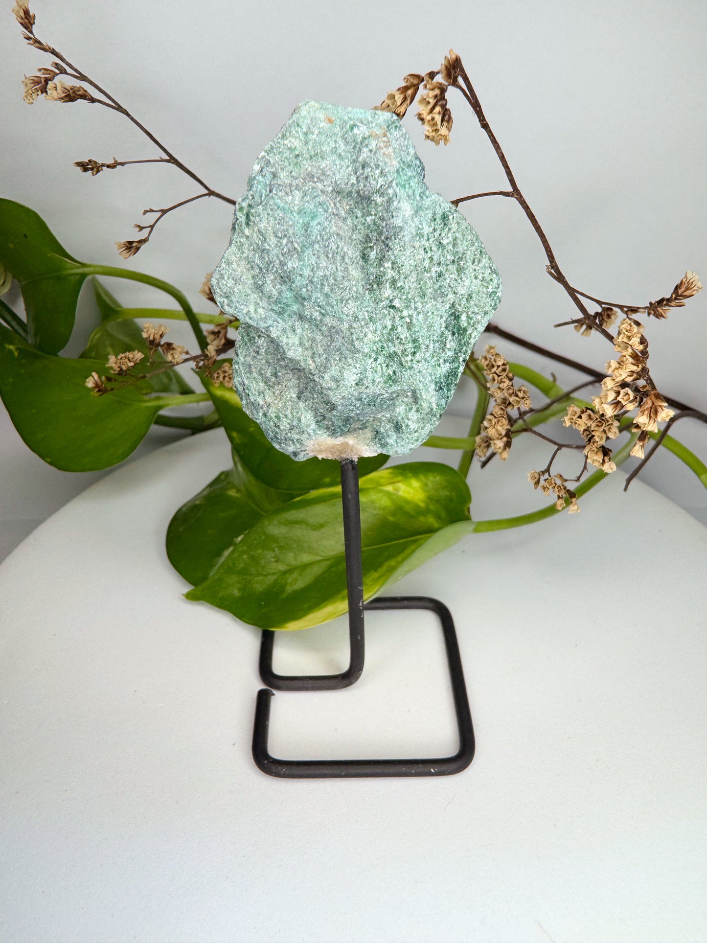 Base Fuchshita