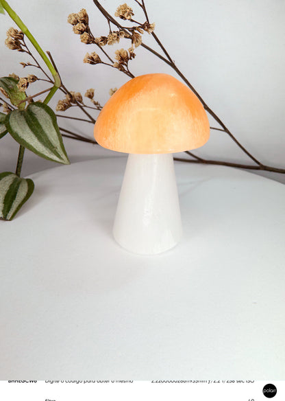 Cogumelo - Selenita branca + Selenita Laranja 6cm