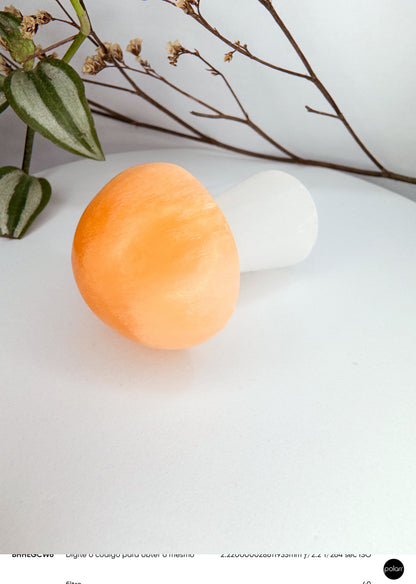 Cogumelo - Selenita branca + Selenita Laranja 6cm