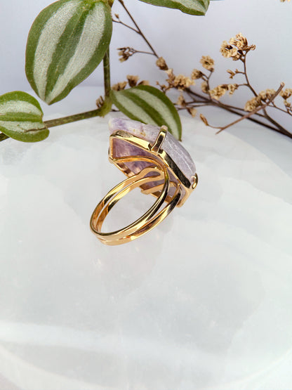 Anel Asteroide - Ametista